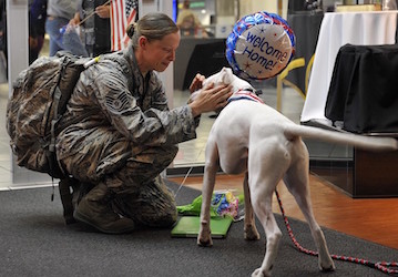 Airwoman being greeted by her dog holding a  welcome home  balloon benefits from HPRC deployment and military readiness resou