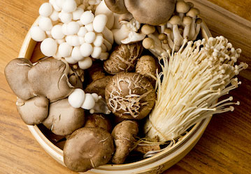 Mushrooms as a part of a performance-nutrition menu