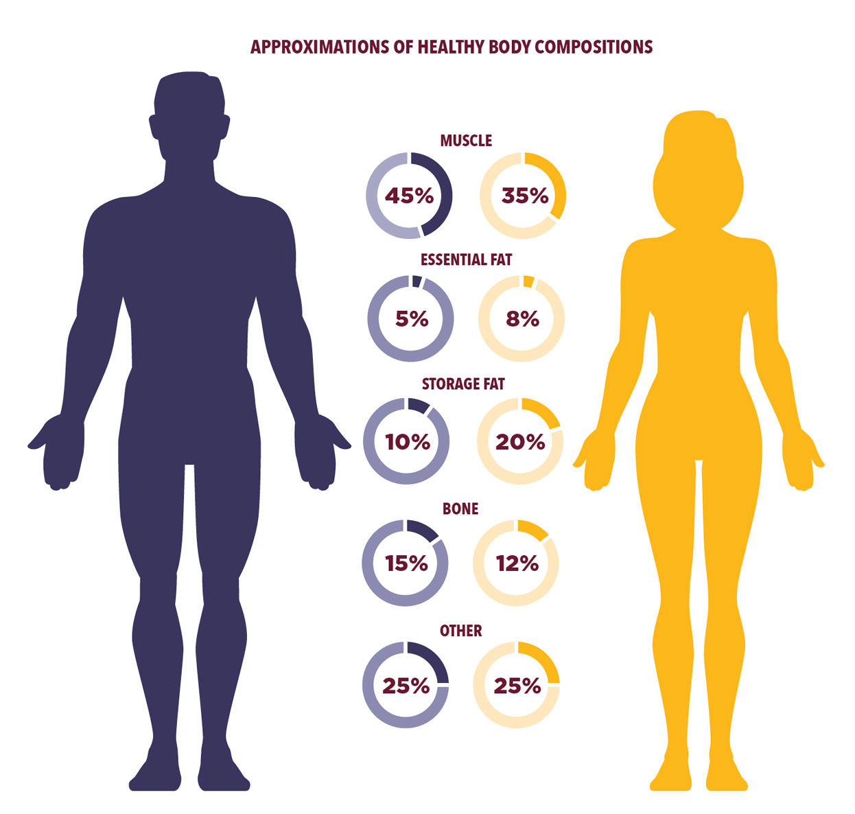 Approximations of healthy body compositions for males and females. Muscle for males is 45 percent and 35 percent for females. Essential fat is 5 percent for males and 8 percent for females. Storage fat is 10 percent for males and 20 percent for females. Bone is 15 percent for males and 12 percent for females. Other components of body composition for both males and females is 25 percent.