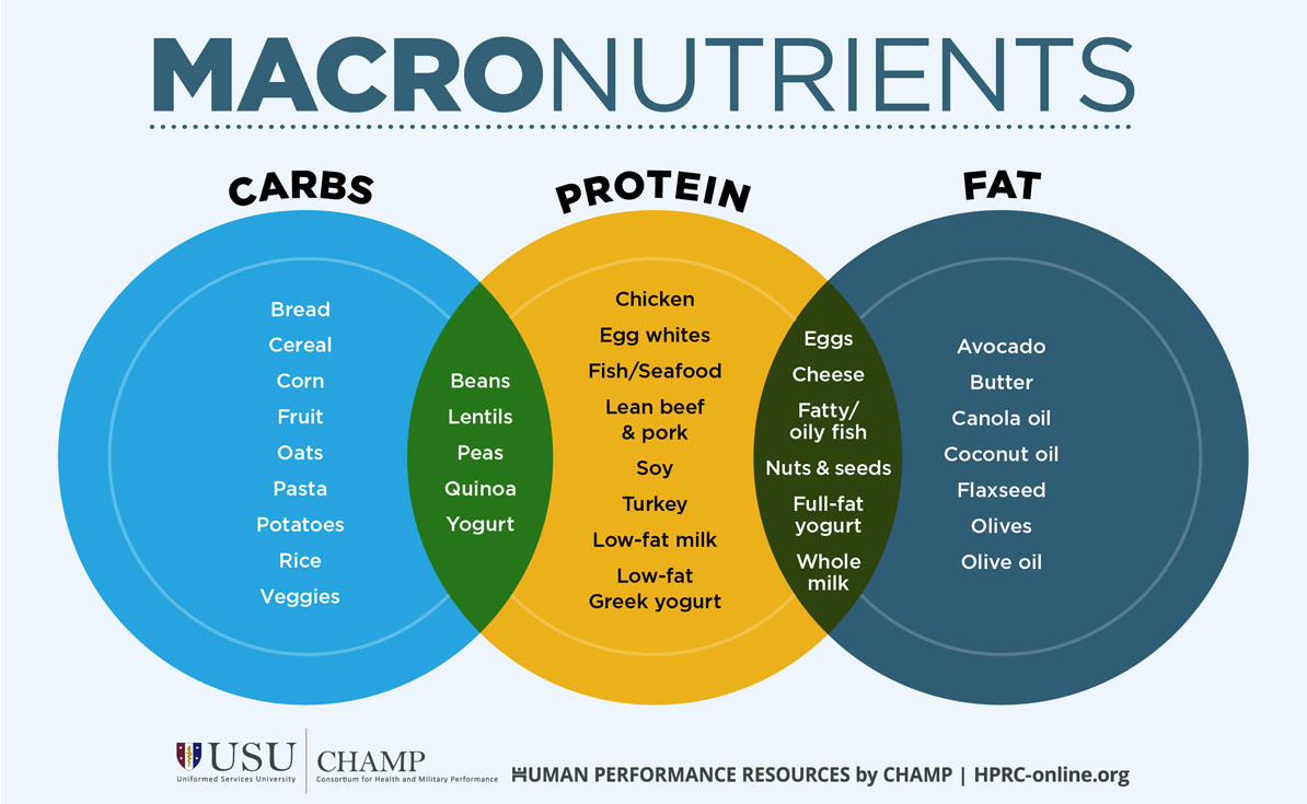 Macronutrients Three circles going across the page horizontally, with the first and second circles intersecting and overlapping, and the second and third circles intersecting and overlapping.   The first circle is medium blue and called Carbs. Examples of carbs are listed vertically in the circle: Bread, Cereal, Corn, Fruit, Oats, Pasta, Potatoes, Rice, and Vegetables The second circle is yellow and called Protein. Examples of protein are listed vertically in the circle: Chicken, Egg whites, Fish/Seafood, Lean beef & pork, Soy, Turkey, Low-fat milk, and Low-fat Greek yogurt The third circle is dark blue and called Fat. Examples of fat are listed vertically in the circle: Avocado, Butter, Canola oil, Coconut oil, Flaxseed, Olive oil The overlapping section of circles 1 and 2 is green and lists vertically: Beans, Lentils, Peas, Quinoa, and Yogurt. The overlapping section of circles 2 and 3 is dark green and lists vertically: Eggs, Cheese, Fatty/oily fish, Nuts & seeds, Full-fat yogurt, and Full-fat milk.