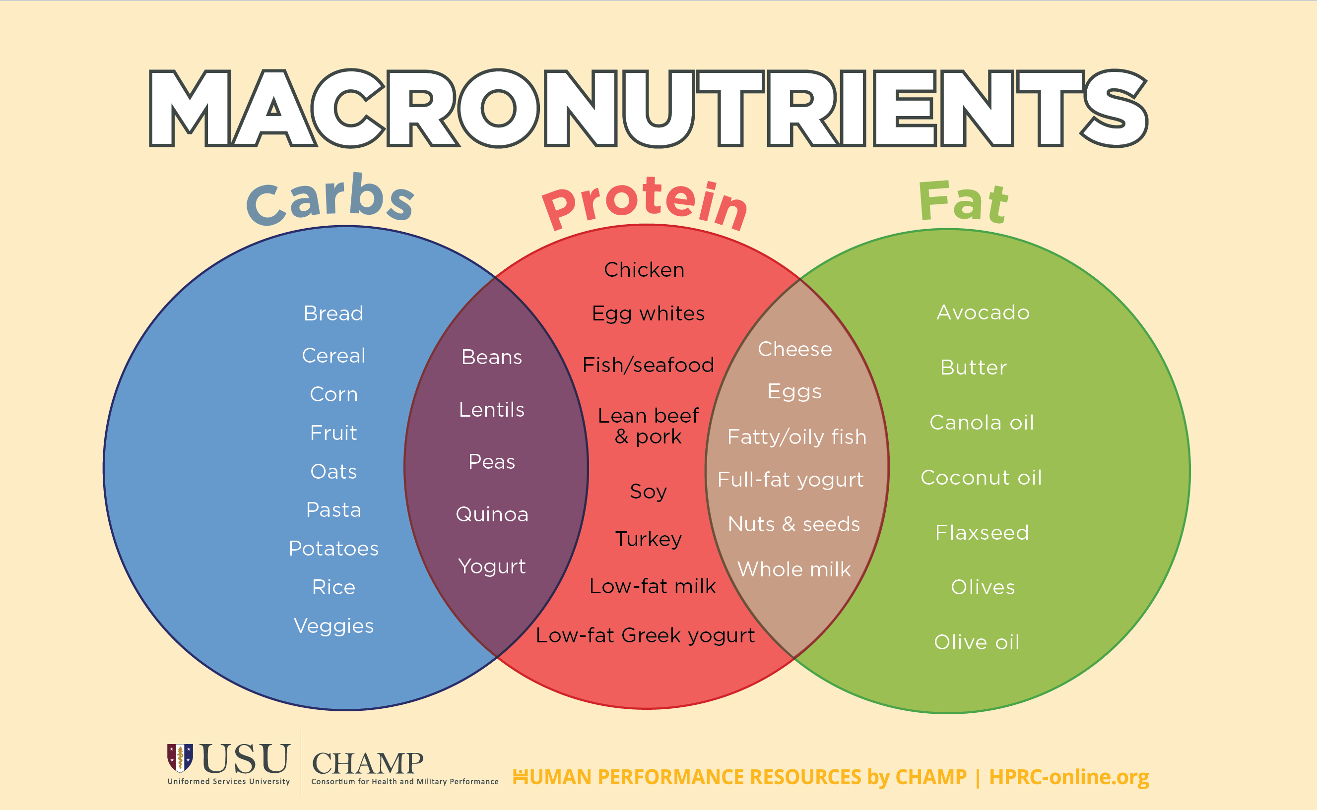 Macronutrient Chart For All Foods