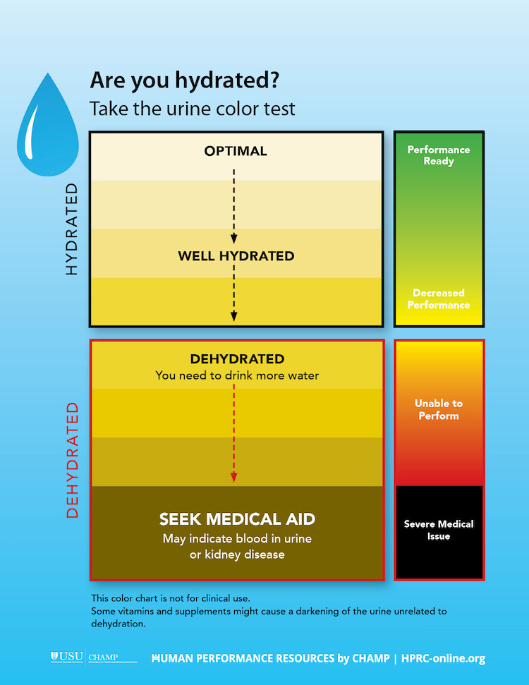 Hydration plan examples