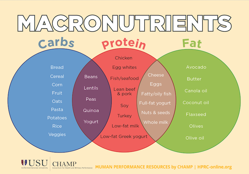 macro nutrients meaning