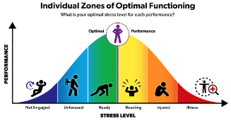 stress toolkit